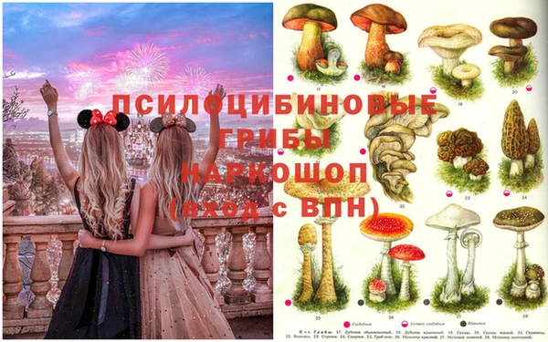 таблы Елабуга