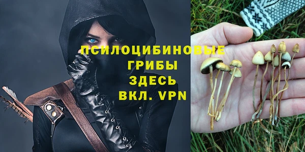 эйфоретик Елизово