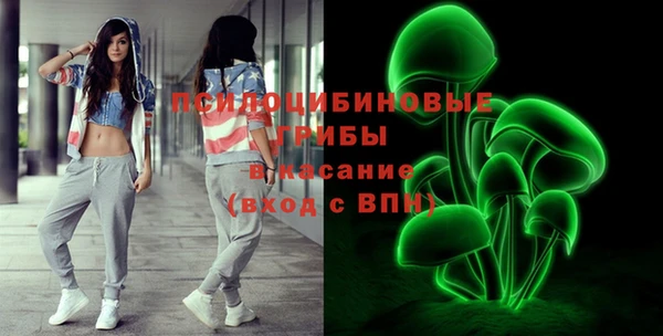 эйфоретик Елизово