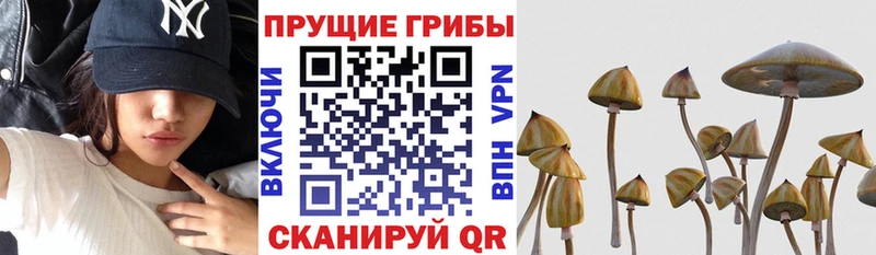 Галлюциногенные грибы прущие грибы  площадка наркотические препараты  Ишим 