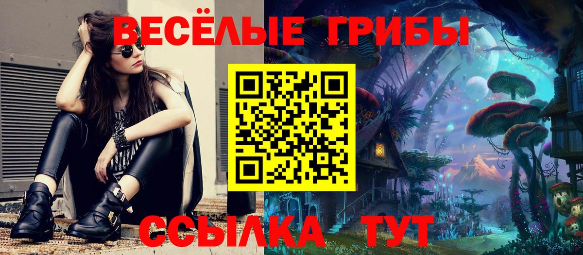 Галлюциногенные грибы Cubensis Ишим
