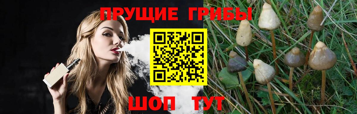 Ишим  Галлюциногенные грибы Magic Shrooms  Вход с VPN 