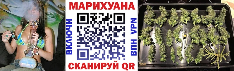 Бошки марихуана SATIVA & INDICA  купить закладку  Ишим 